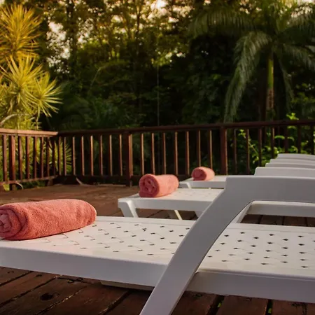 Casa Heliconia - Spacious, Big Garden, Close To The Beach Puerto Viejo de Talamanca Exterior photo