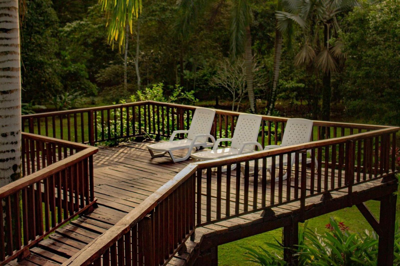 Casa Heliconia - Spacious, Big Garden, Close To The